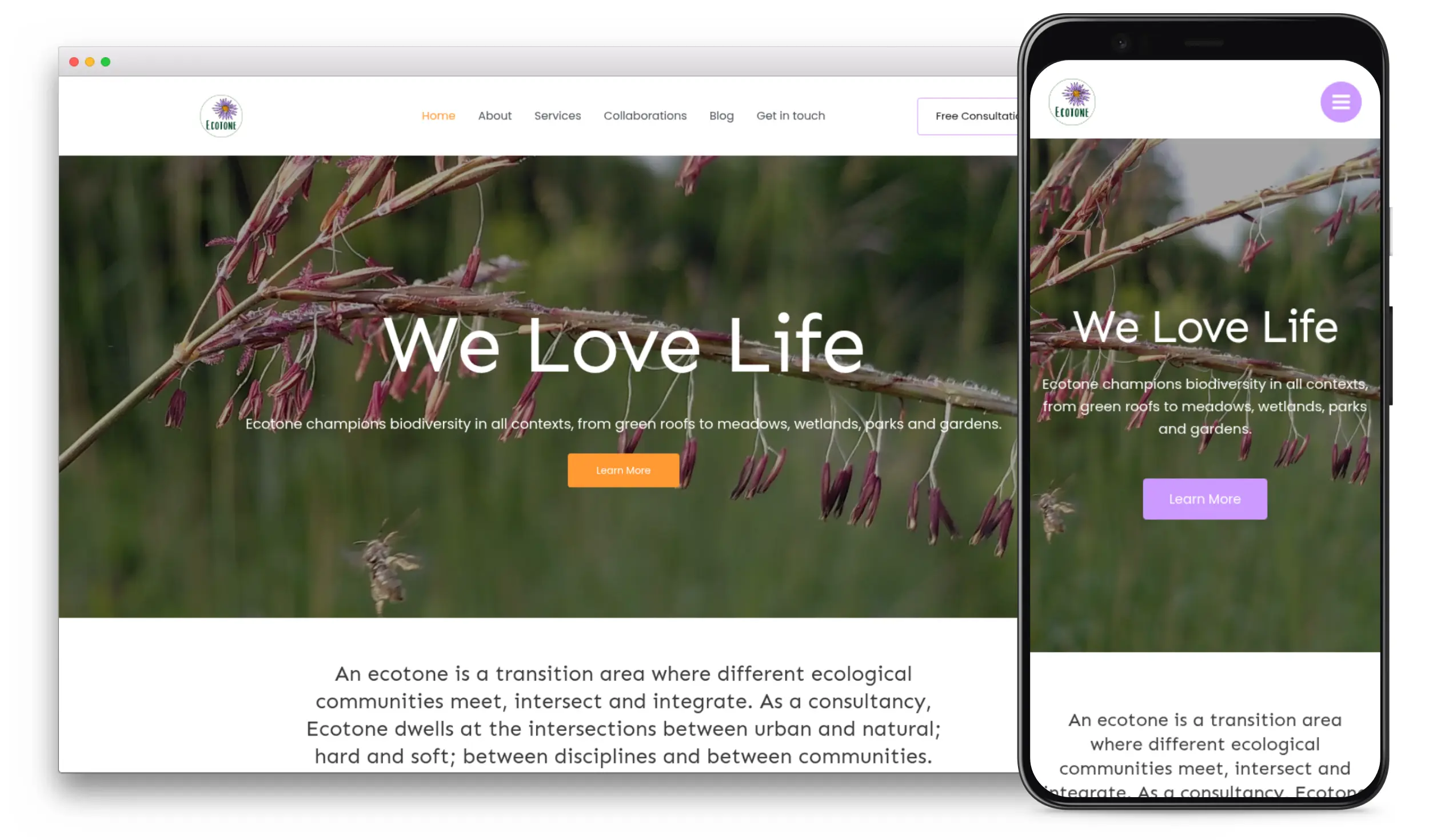 Ecotone website