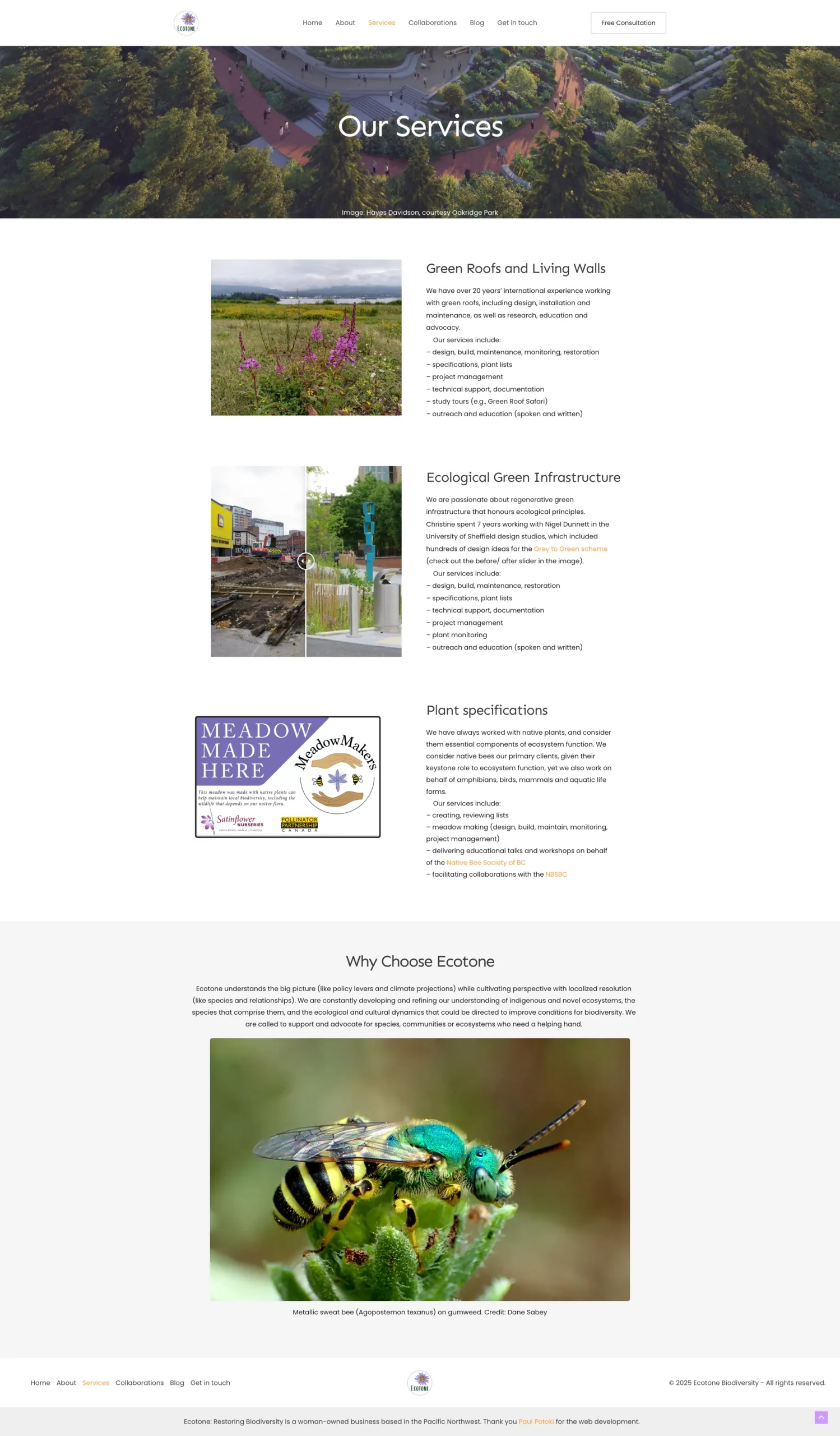 Ecotone website