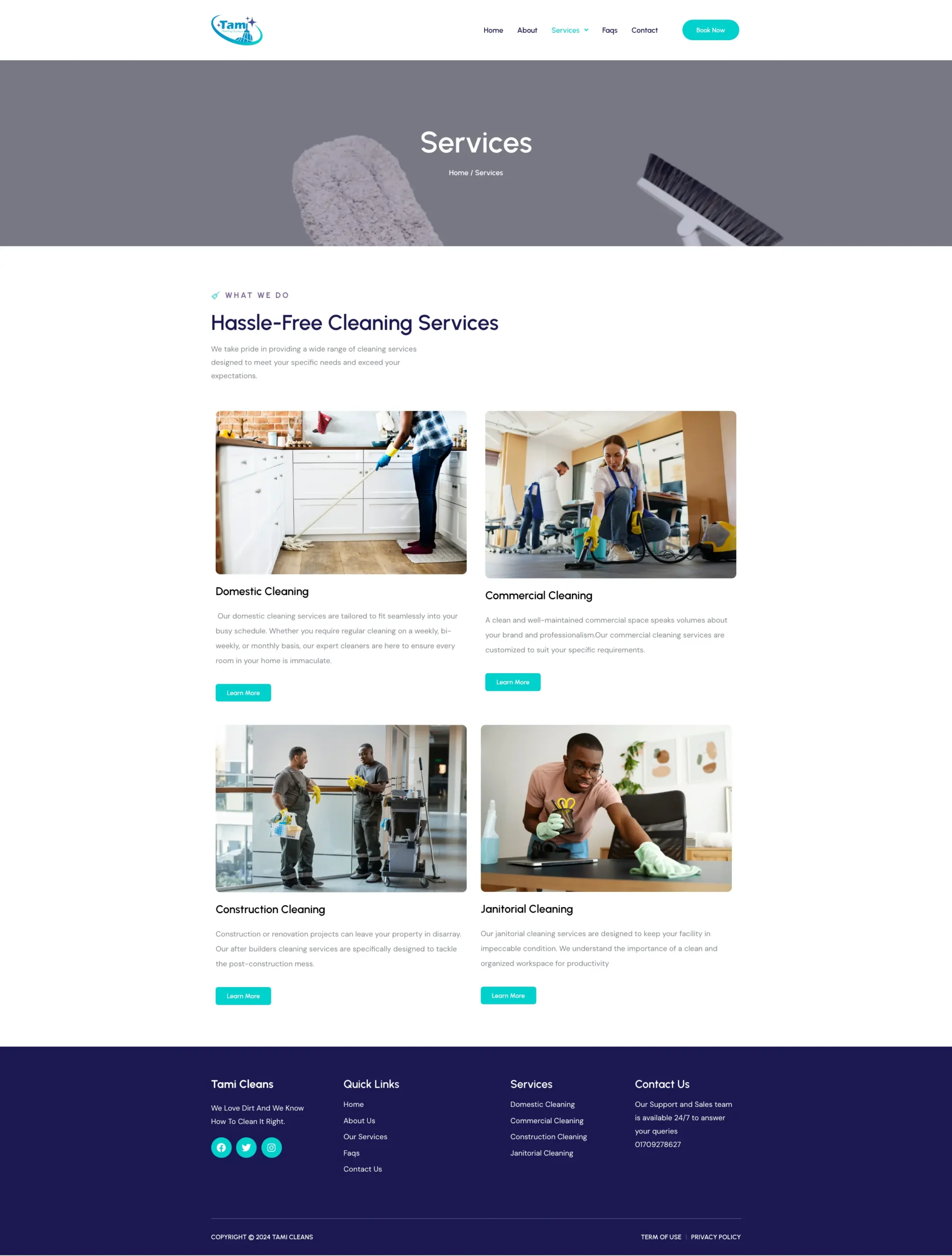 tami cleans website
